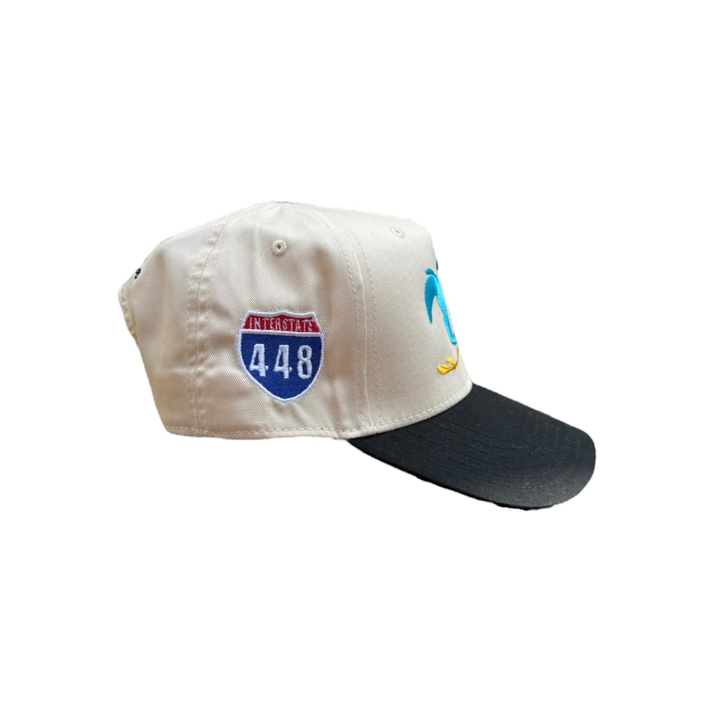 6. ROADRUNNER SNAPBACK