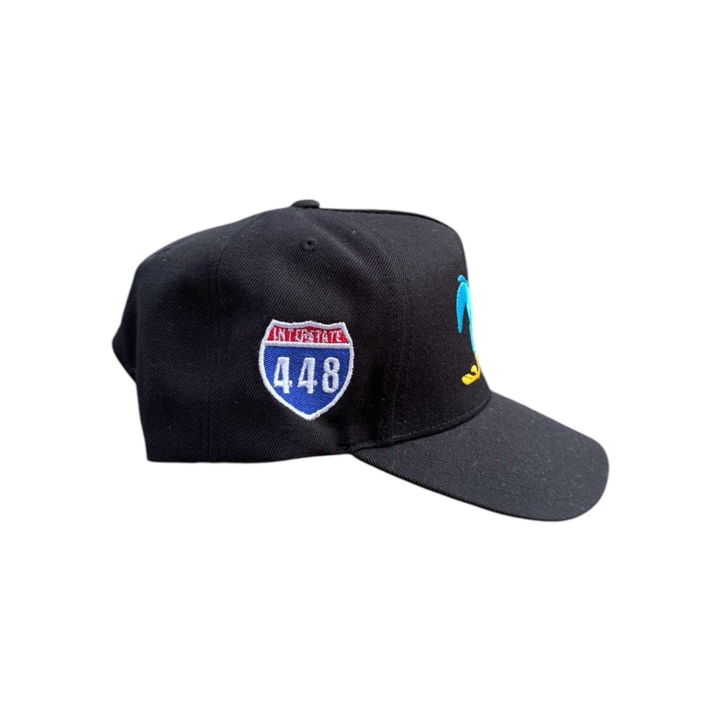 6. ROADRUNNER SNAPBACK