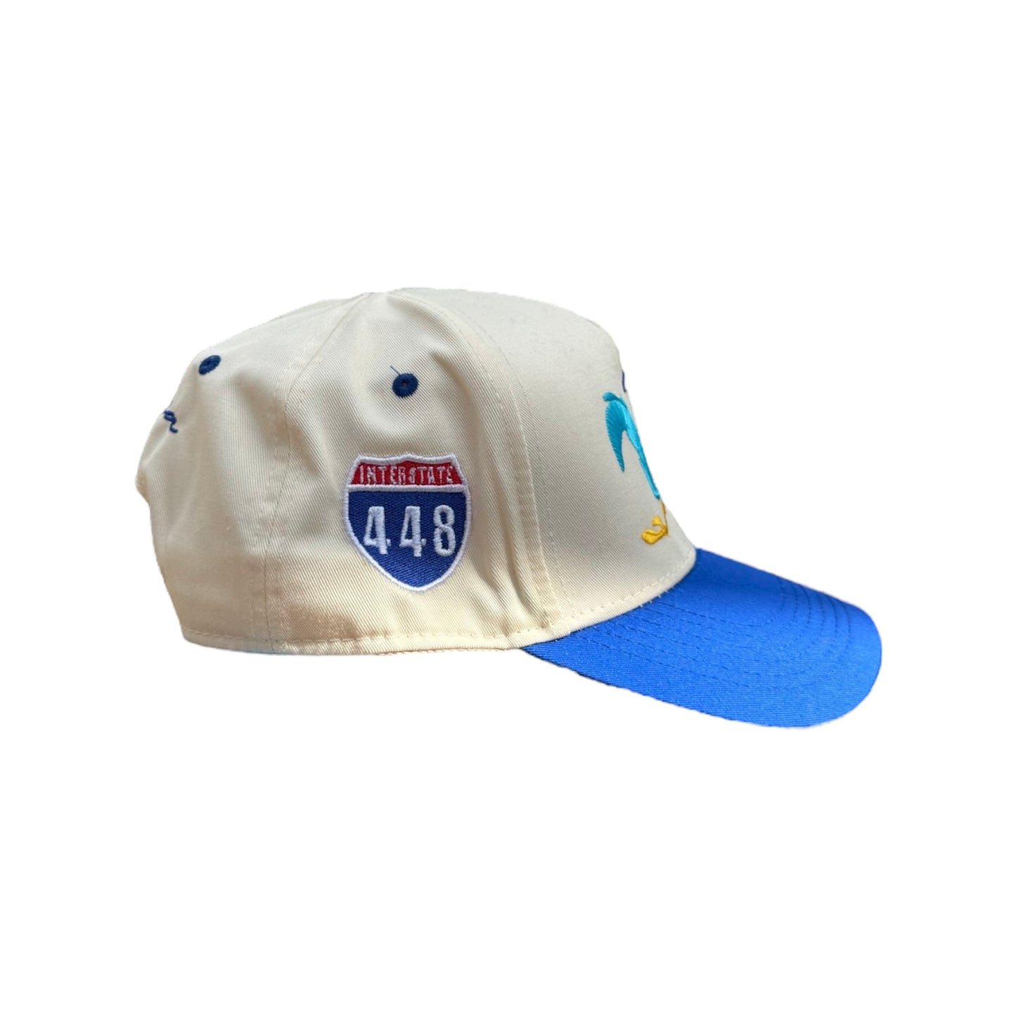 6. ROADRUNNER SNAPBACK